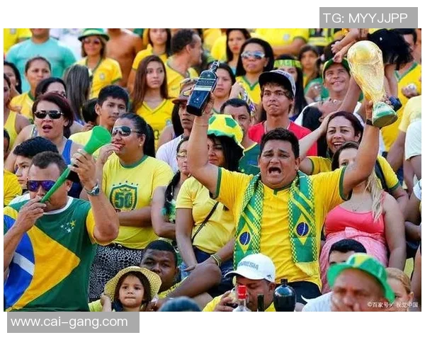 巴西足球明星数量揭秘他们在世界足球历史上的重要地位与影响力