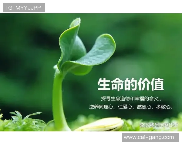 焦泊乔的成长之路与奋斗故事探寻人生的意义与价值